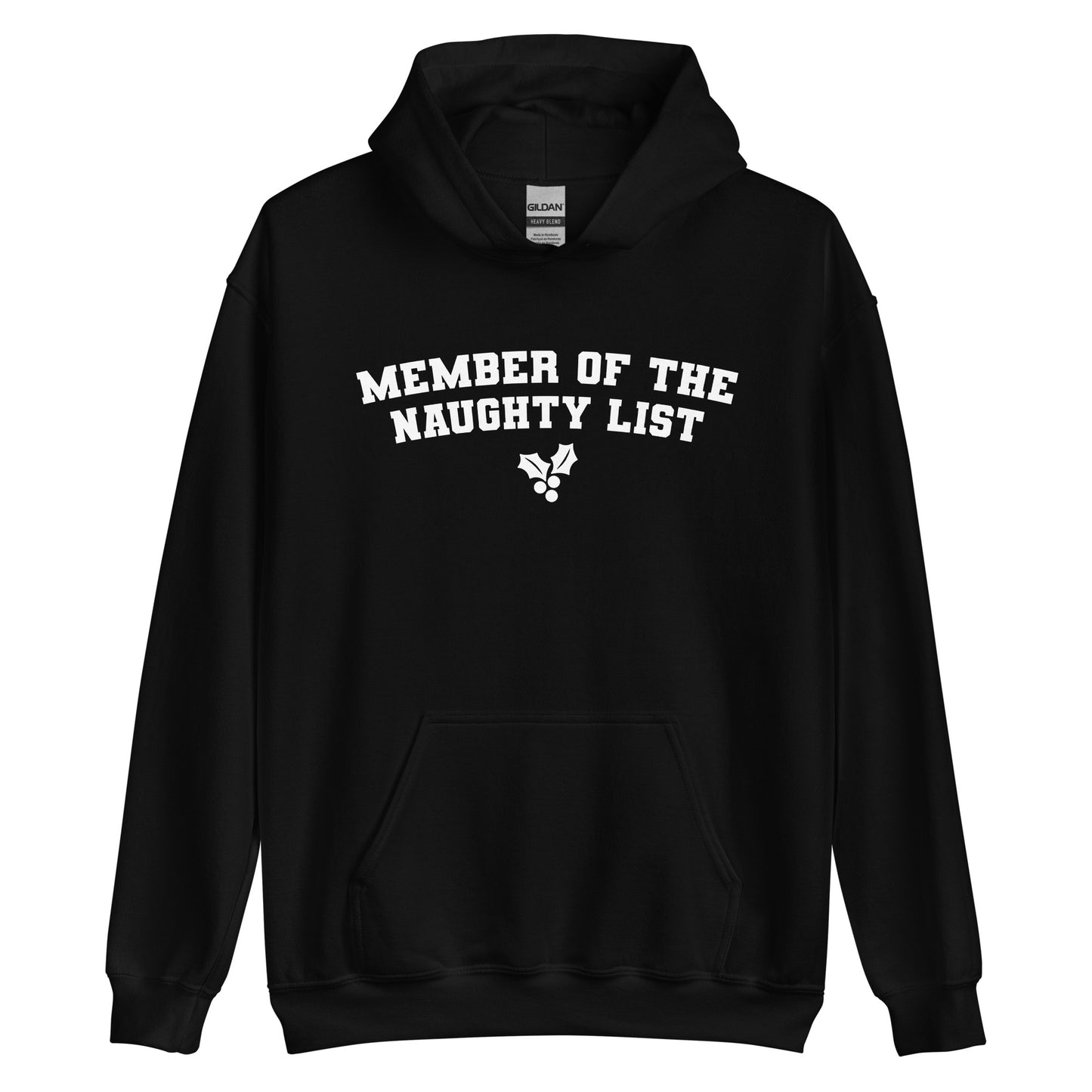 Member of the Naughty List Hoodie