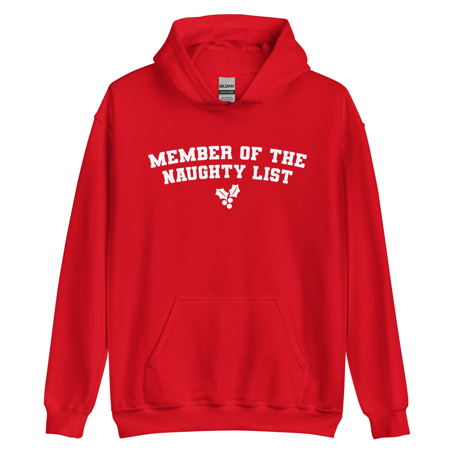 Member of the Naughty List Hoodie