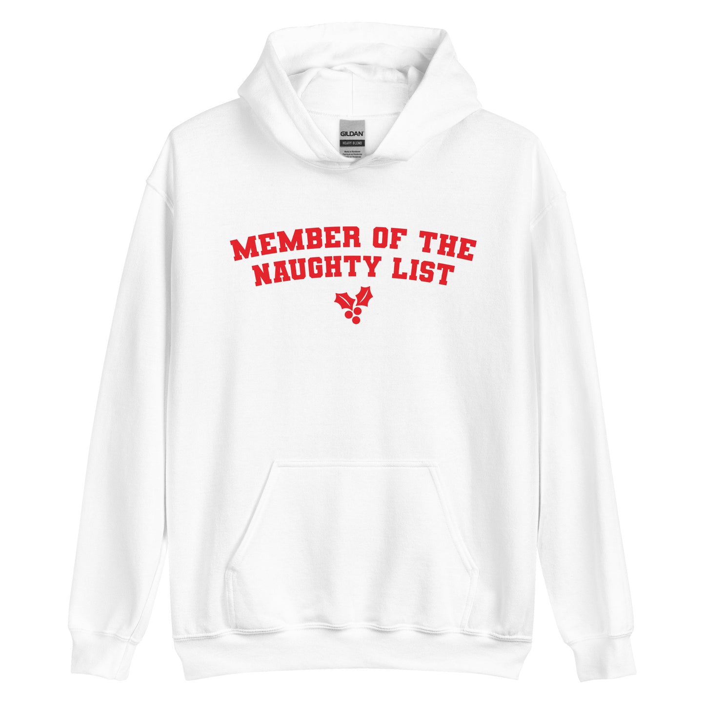Member of the Naughty List Hoodie